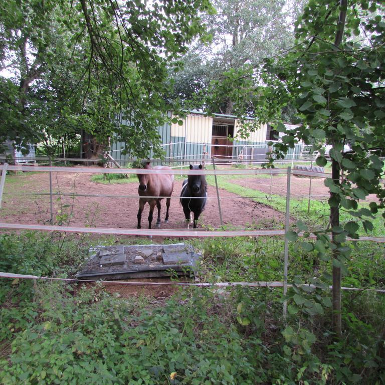 Ferienwohnung "Eifelstueffje" Mechernich Bilik gambar