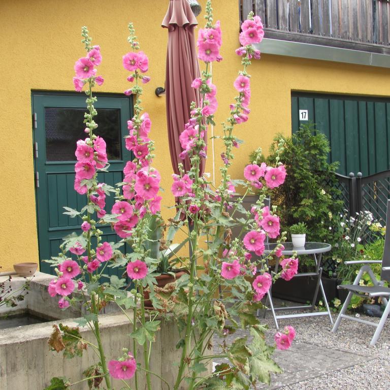 Ferienwohnung "Eifelstueffje" Mechernich Luaran gambar